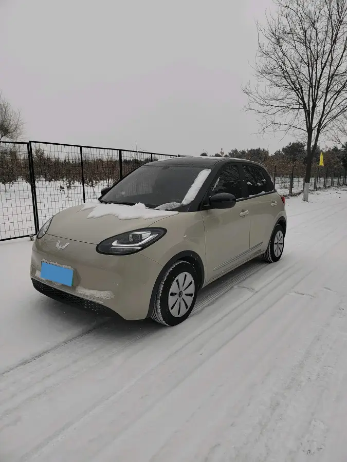 2023 WuLing BinGuo BEV 17.3KWH