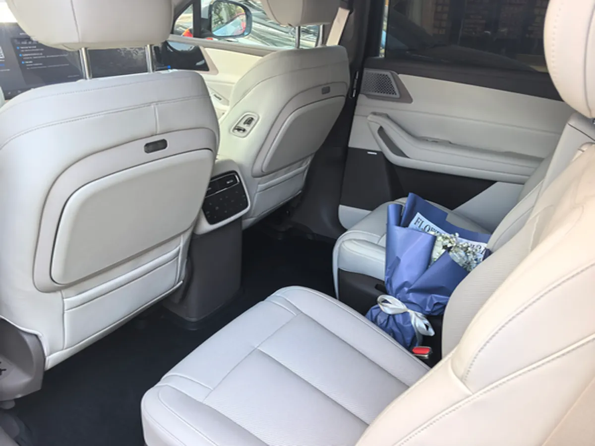 2025 Denza DenzaN8L 2.0T 207HP L4 E-CVT PHEV,autocango,china used car exporter,china ev exporter,chinese used car exporter,chinese used ev exporter