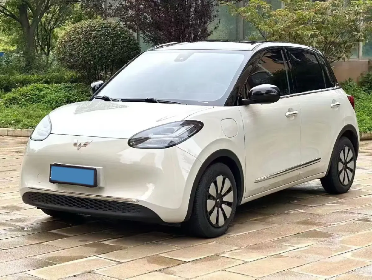 2023 WuLing BinGuo BEV 31.9KWH