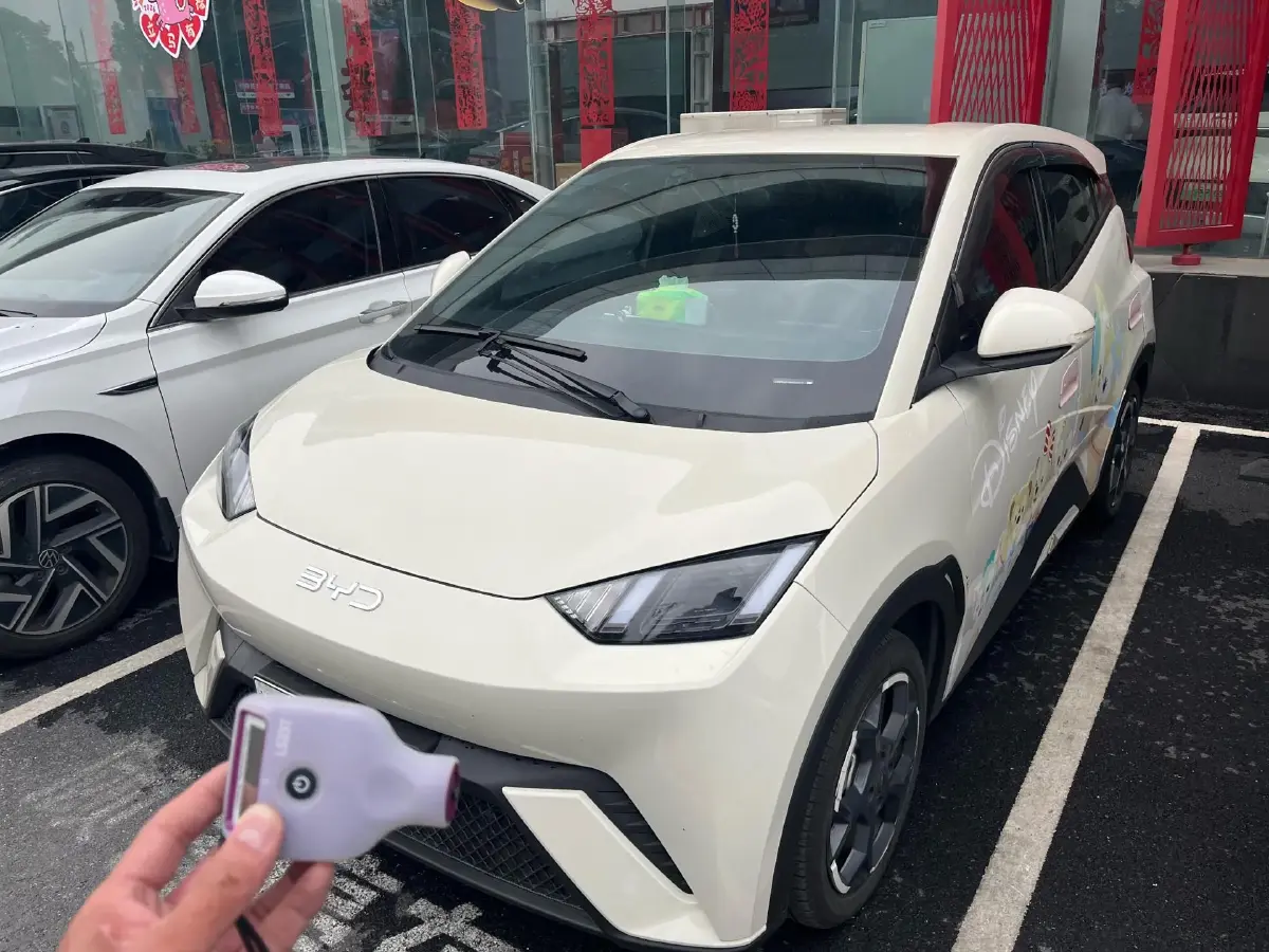 2025 BYD Seagull BEV 30.08KWH