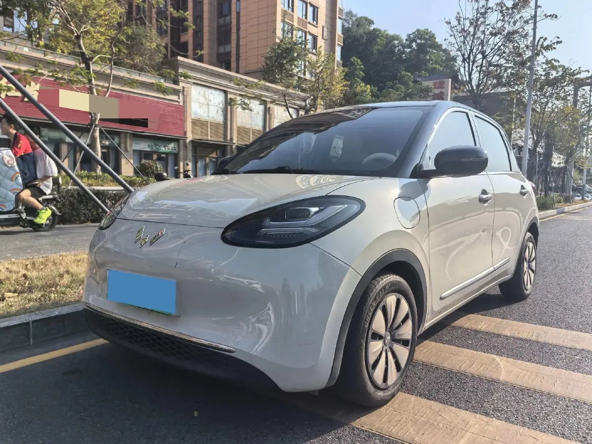 2024 WuLing BinGuo BEV 31.9KWH