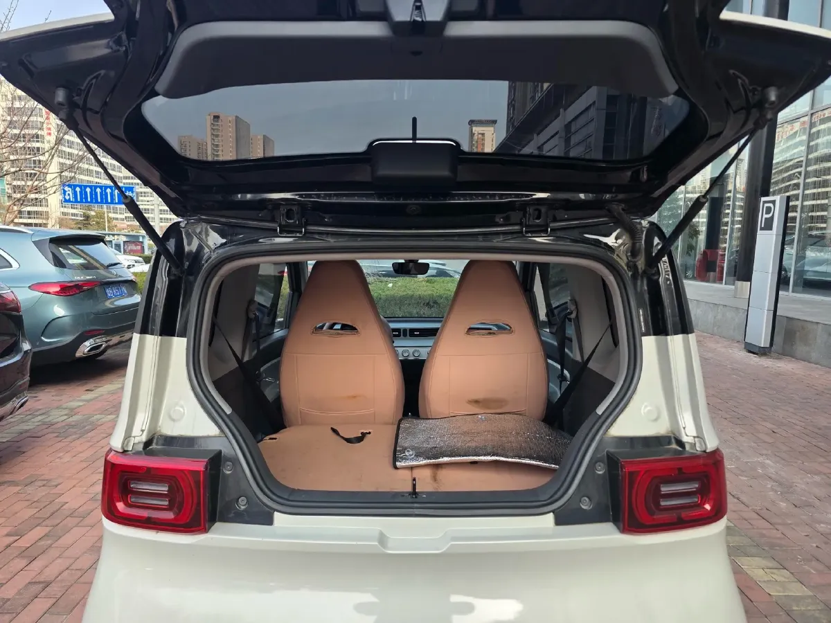 2022 DongFeng Fengon Fengon MINI EV BEV 13.8KWH,autocango,china used car exporter,china ev exporter,chinese used car exporter,chinese used ev exporter