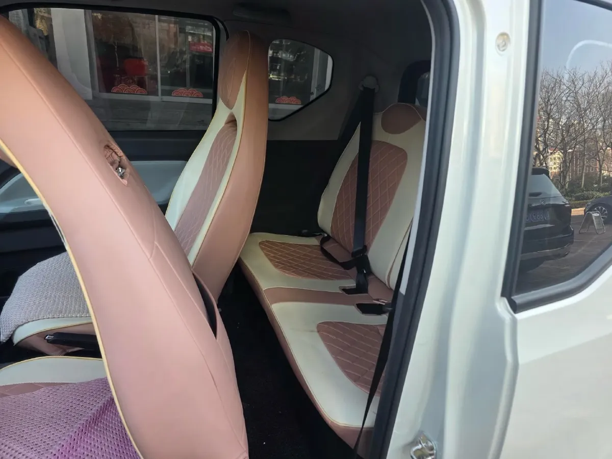 2022 DongFeng Fengon Fengon MINI EV BEV 13.8KWH,autocango,china used car exporter,china ev exporter,chinese used car exporter,chinese used ev exporter