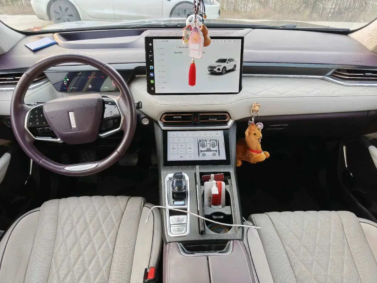 2022 WEY Latte 1.5T 156HP L4 2DHT PHEV 34KWH,autocango,china used car exporter,china ev exporter,chinese used car exporter,chinese used ev exporter