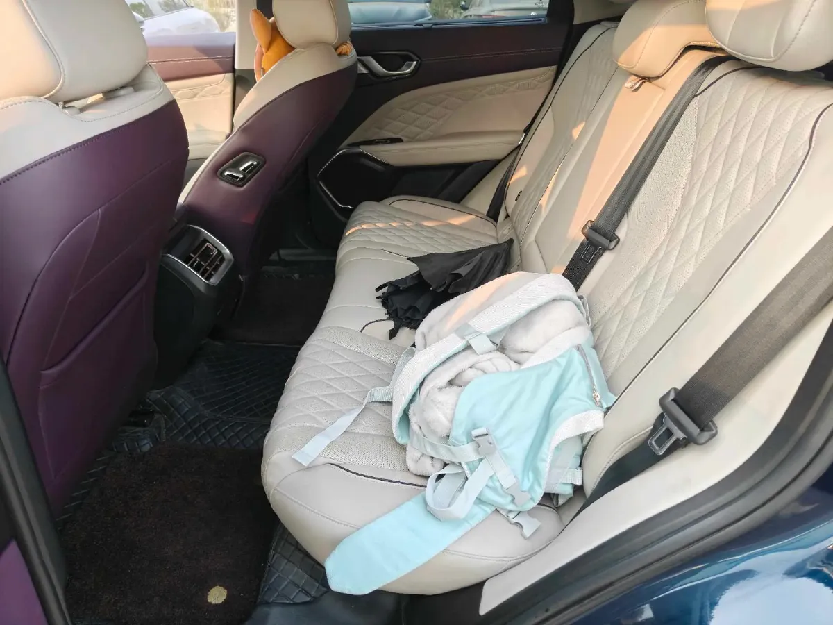 2022 WEY Latte 1.5T 156HP L4 2DHT PHEV 34KWH,autocango,china used car exporter,china ev exporter,chinese used car exporter,chinese used ev exporter