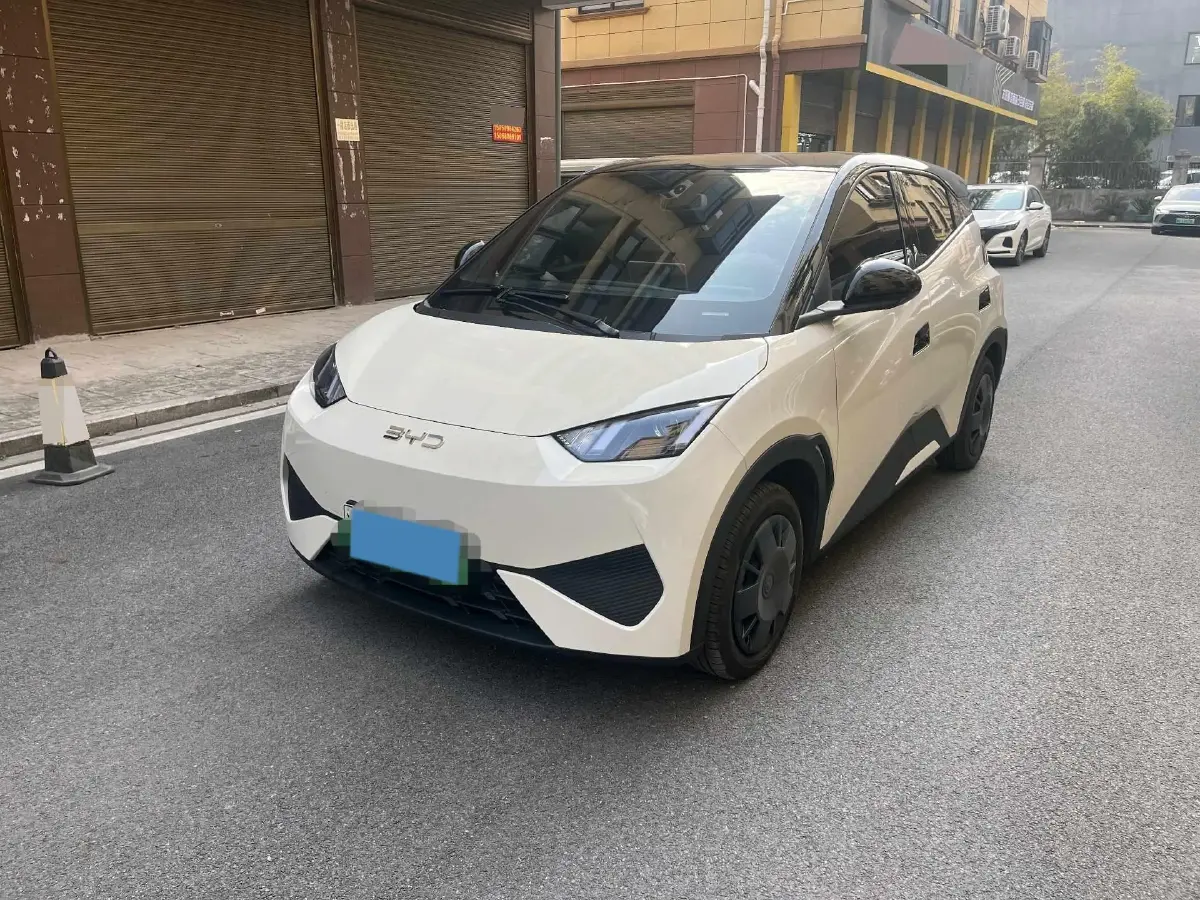 2025 BYD Seagull BEV 30.08KWH
