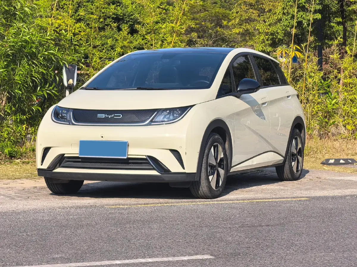 2023 BYD Dolphin BEV 44.928KWH