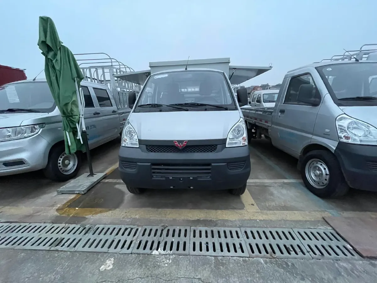 2023 WuLing RongGuang Mini Truck Special 1.5L 102HP L4 5MT,autocango,china used car exporter,china ev exporter,chinese used car exporter,chinese used ev exporter