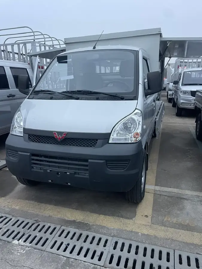 2023 WuLing RongGuang Mini Truck Special 1.5L 102HP L4 5MT