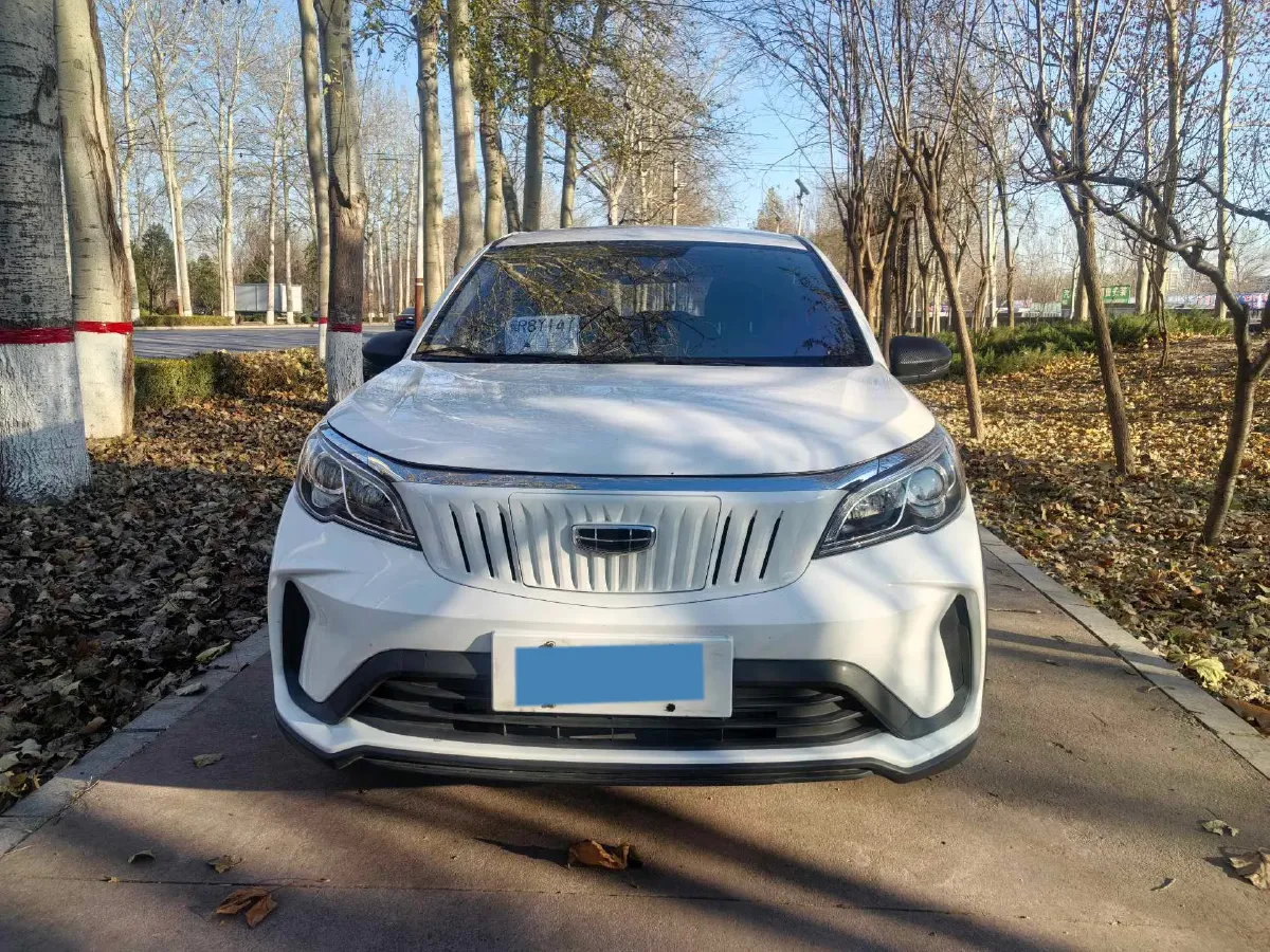 2021 WuLing Nano EV BEV 28KWH,autocango,china used car exporter,china ev exporter,chinese used car exporter,chinese used ev exporter