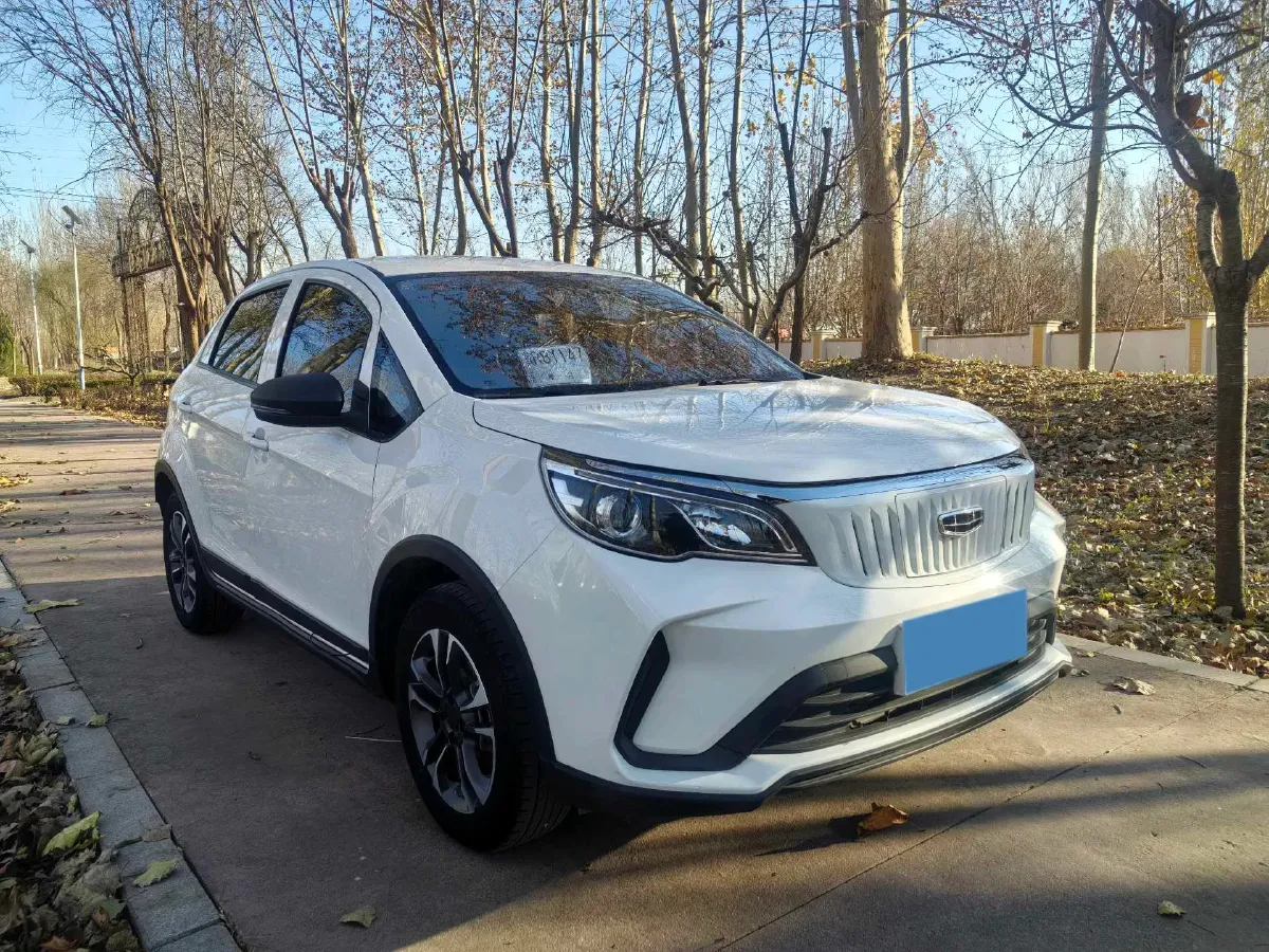 2021 WuLing Nano EV BEV 28KWH,autocango,china used car exporter,china ev exporter,chinese used car exporter,chinese used ev exporter