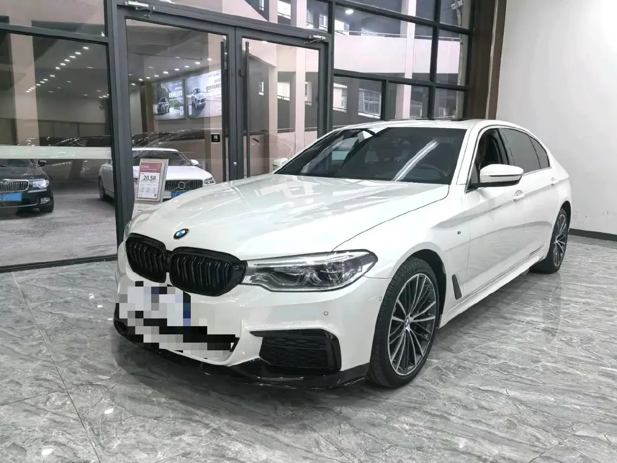 2020 BMW 5 Series 2.0T 252HP L4 8AT