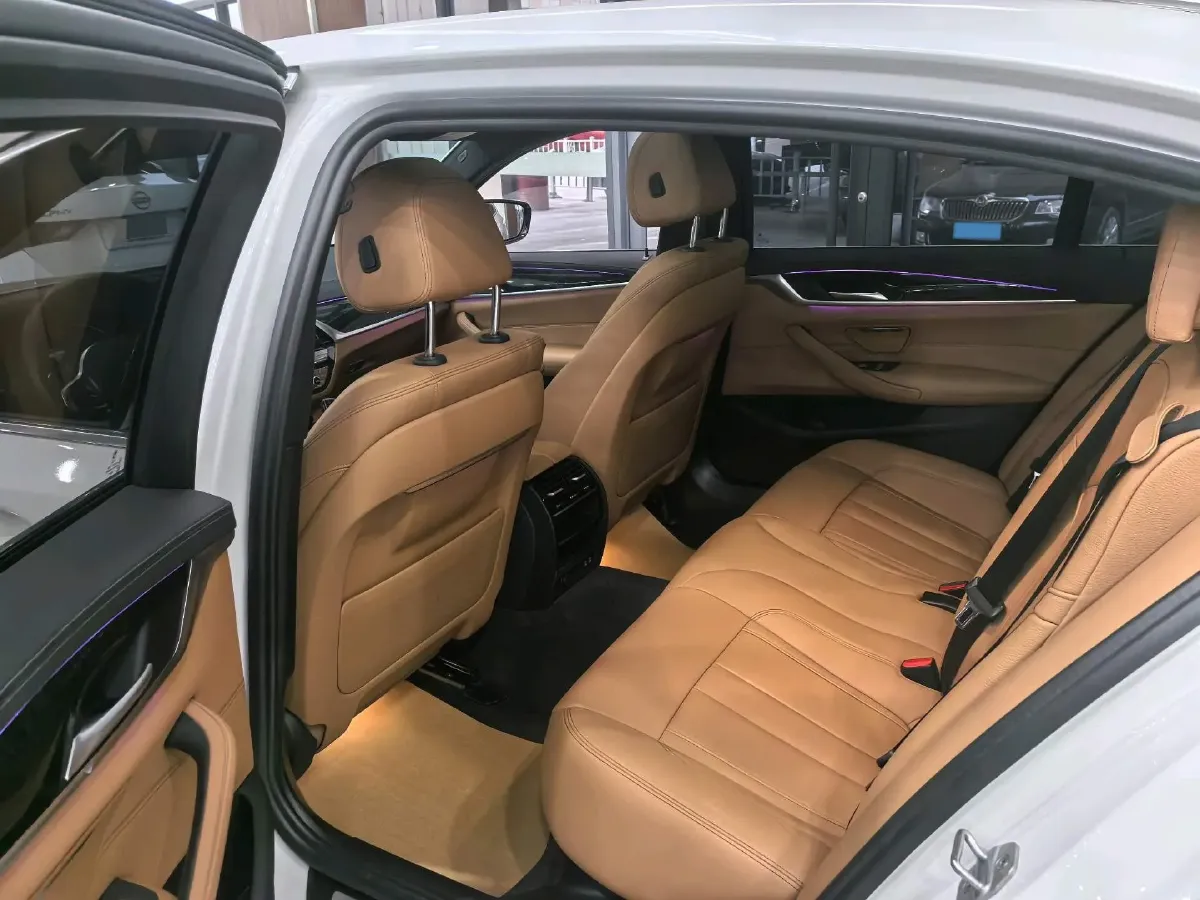 2020 BMW 5 Series 2.0T 252HP L4 8AT,autocango,china used car exporter,china ev exporter,chinese used car exporter,chinese used ev exporter