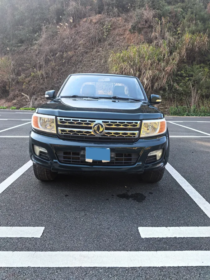 2017 Dongfeng RuiQi 2.5T 140HP L4 6MT,autocango,china used car exporter,china ev exporter,chinese used car exporter,chinese used ev exporter