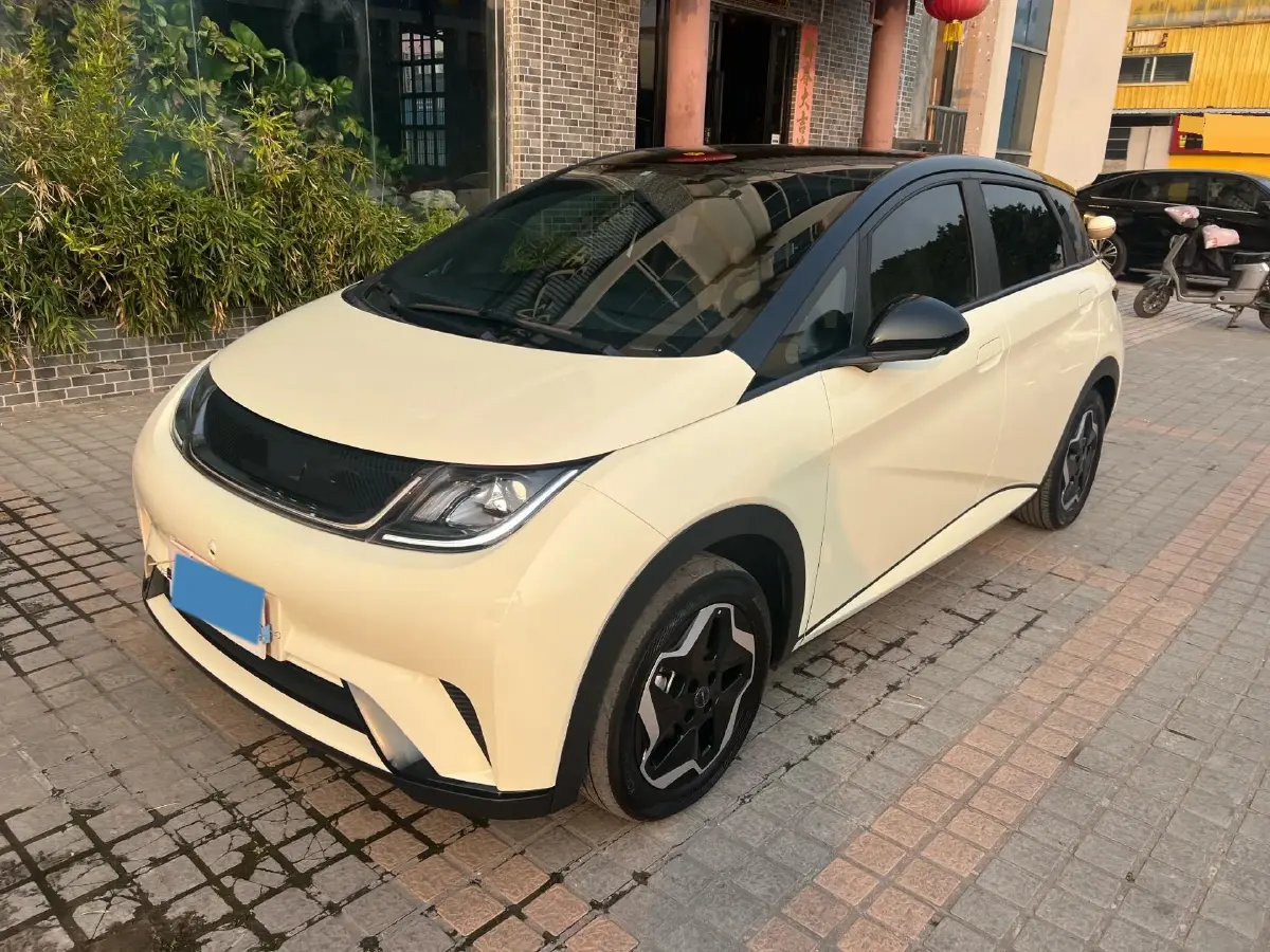 2021 BYD Yuan Pro BEV 50.1KWH