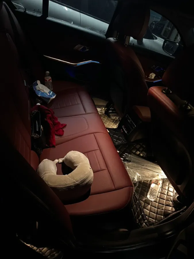 2021 BMW 3 Series 2.0T 184HP L4 8AT,autocango,china used car exporter,china ev exporter,chinese used car exporter,chinese used ev exporter