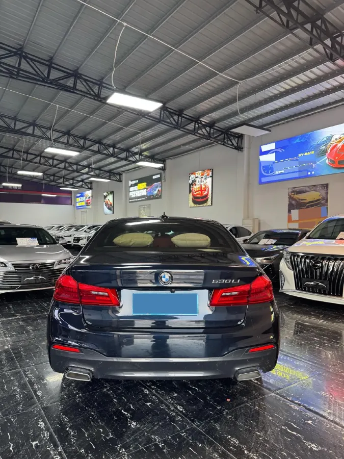 2020 BMW 5 Series 2.0T 252HP L4 8AT,autocango,china used car exporter,china ev exporter,chinese used car exporter,chinese used ev exporter