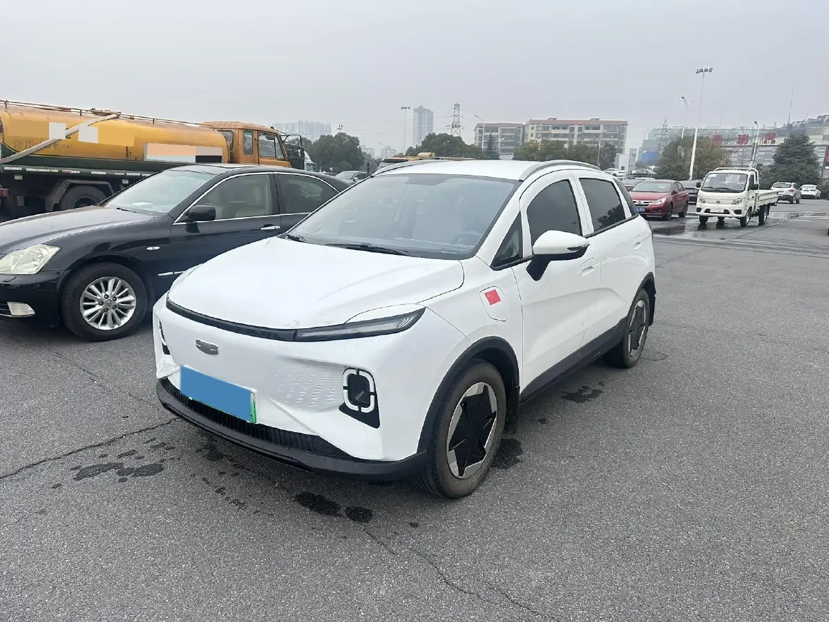 2024 Geometry E BEV 29.67KWH