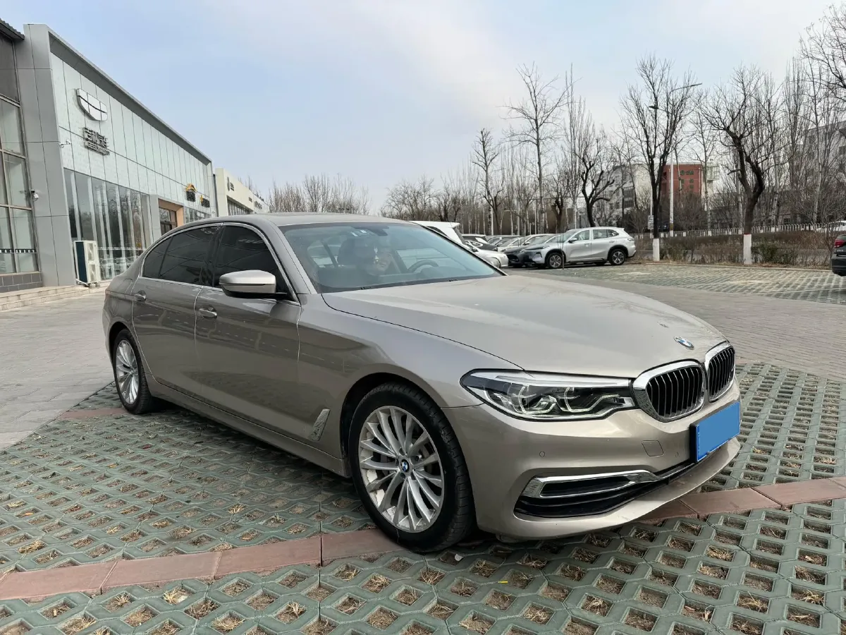 2020 BMW 5 Series 2.0T 252HP L4 8AT,autocango,china used car exporter,china ev exporter,chinese used car exporter,chinese used ev exporter
