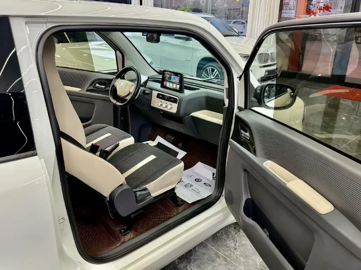 2024 ZD Rainbow BEV 17.3KWH,autocango,china used car exporter,china ev exporter,chinese used car exporter,chinese used ev exporter