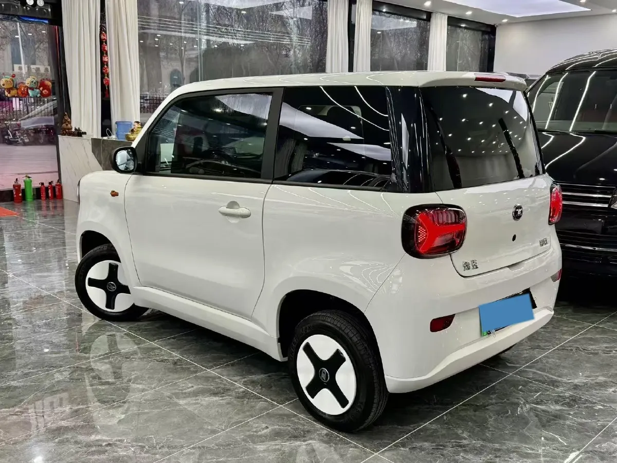 2024 ZD Rainbow BEV 17.3KWH,autocango,china used car exporter,china ev exporter,chinese used car exporter,chinese used ev exporter