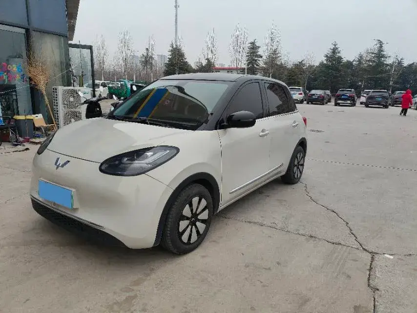 2023 WuLing BinGuo BEV 17.3KWH