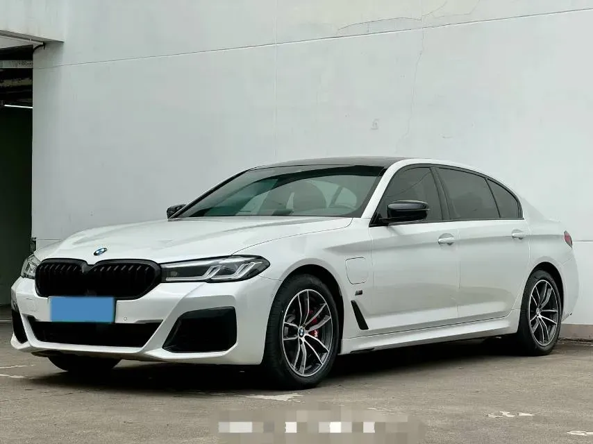 2021 BMW 5 Series 2.0T 184HP L4 8AT PHEV 17.7KWH,autocango,china used car exporter,china ev exporter,chinese used car exporter,chinese used ev exporter