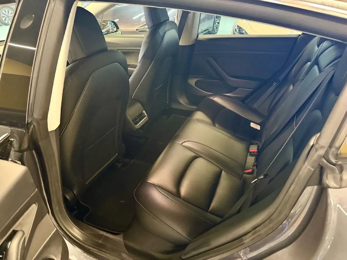 2020 Tesla Model 3 BEV 52KWH,autocango,china used car exporter,china ev exporter,chinese used car exporter,chinese used ev exporter