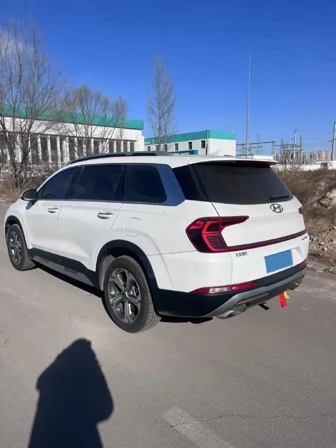 2019 Hyundai Santafe 2.0T 240HP L4 8AT,autocango,china used car exporter,china ev exporter,chinese used car exporter,chinese used ev exporter