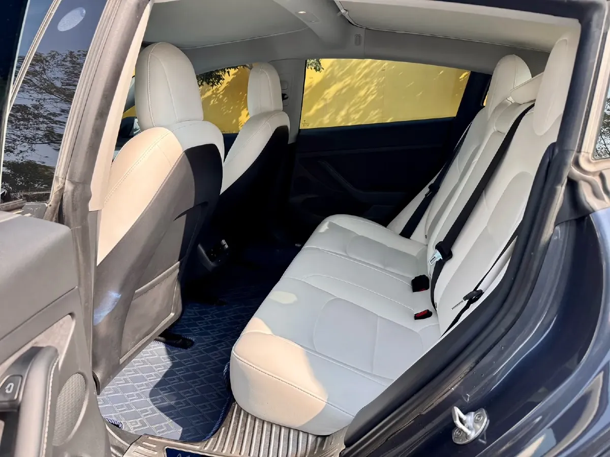 2021 Tesla Model 3 BEV 76.8KWH,autocango,china used car exporter,china ev exporter,chinese used car exporter,chinese used ev exporter