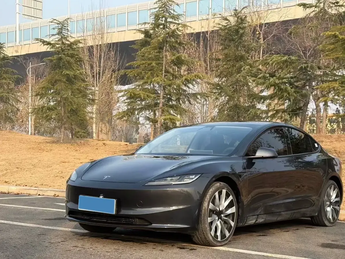 2025 Tesla Model 3 BEV