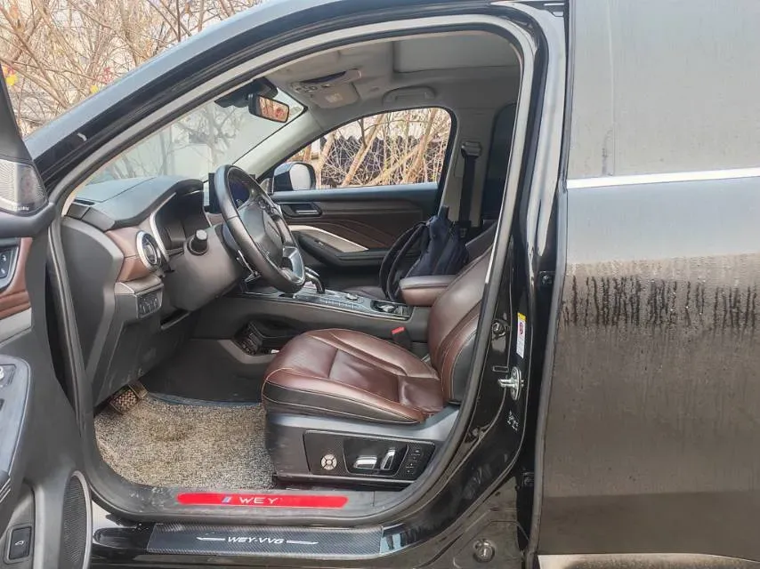 2020 WEY VV6 2.0T 227HP L4 7DCT,autocango,china used car exporter,china ev exporter,chinese used car exporter,chinese used ev exporter