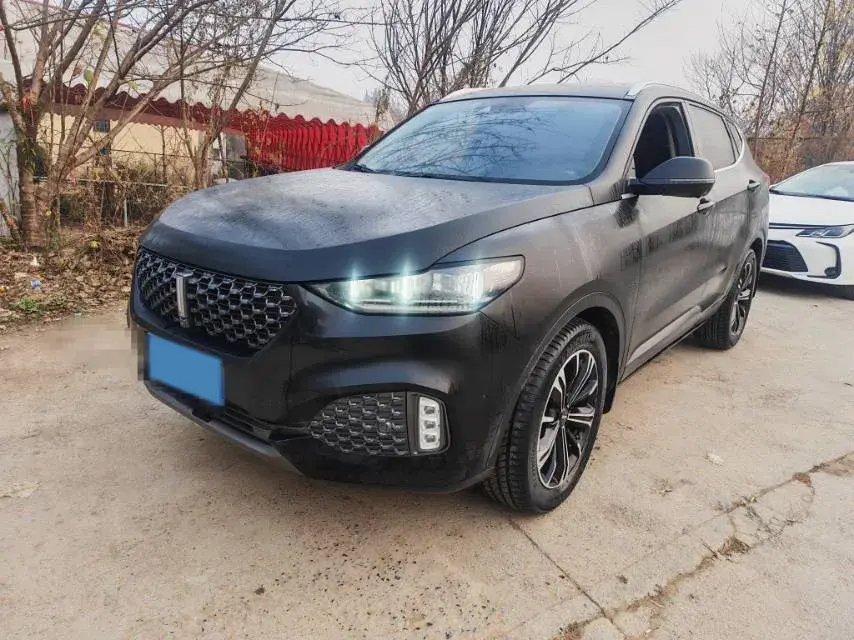 2020 WEY VV6 2.0T 227HP L4 7DCT