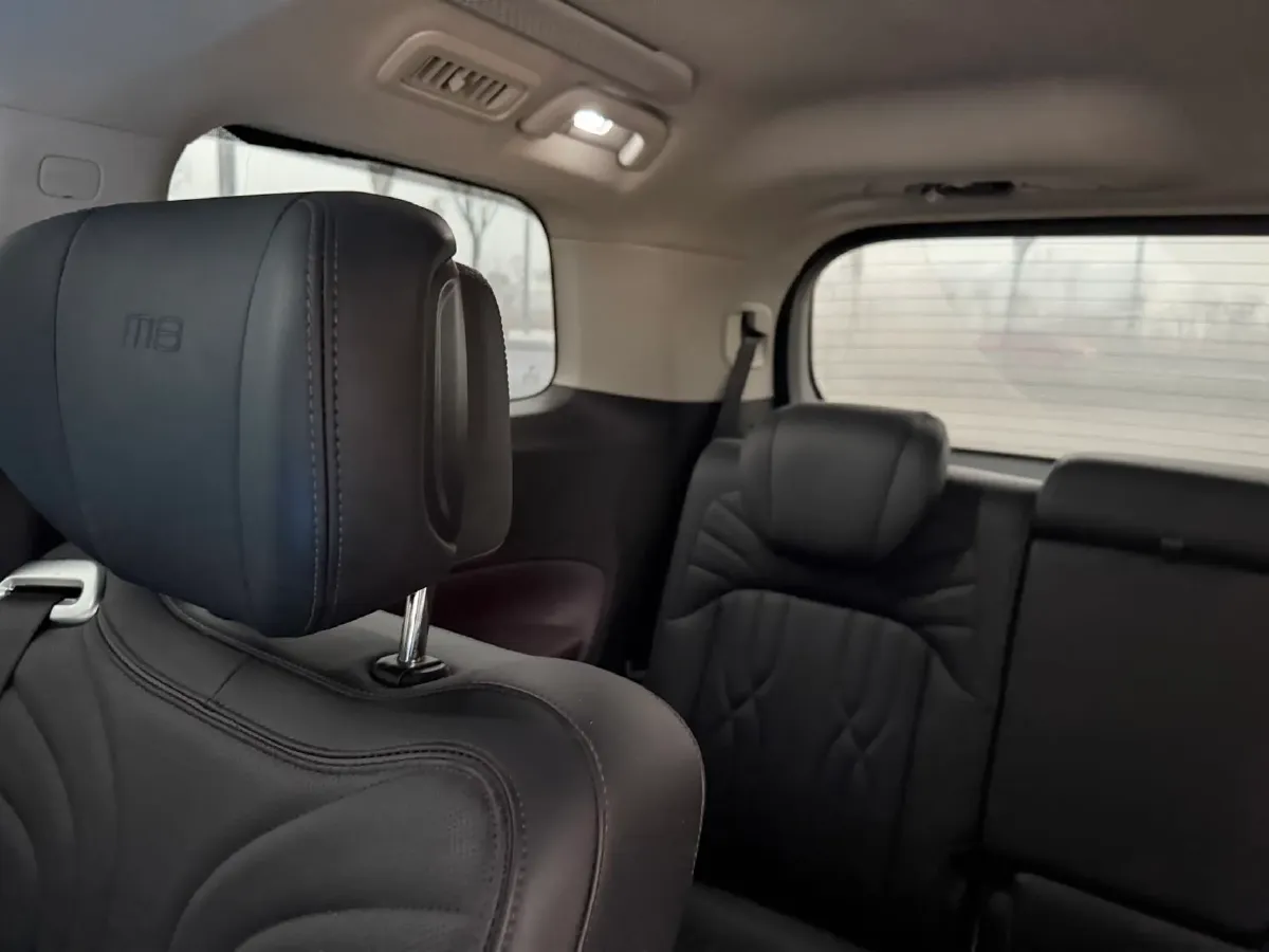 2024 GAC Trumpchi M8 2.0T 252HP L4 8AT,autocango,china used car exporter,china ev exporter,chinese used car exporter,chinese used ev exporter