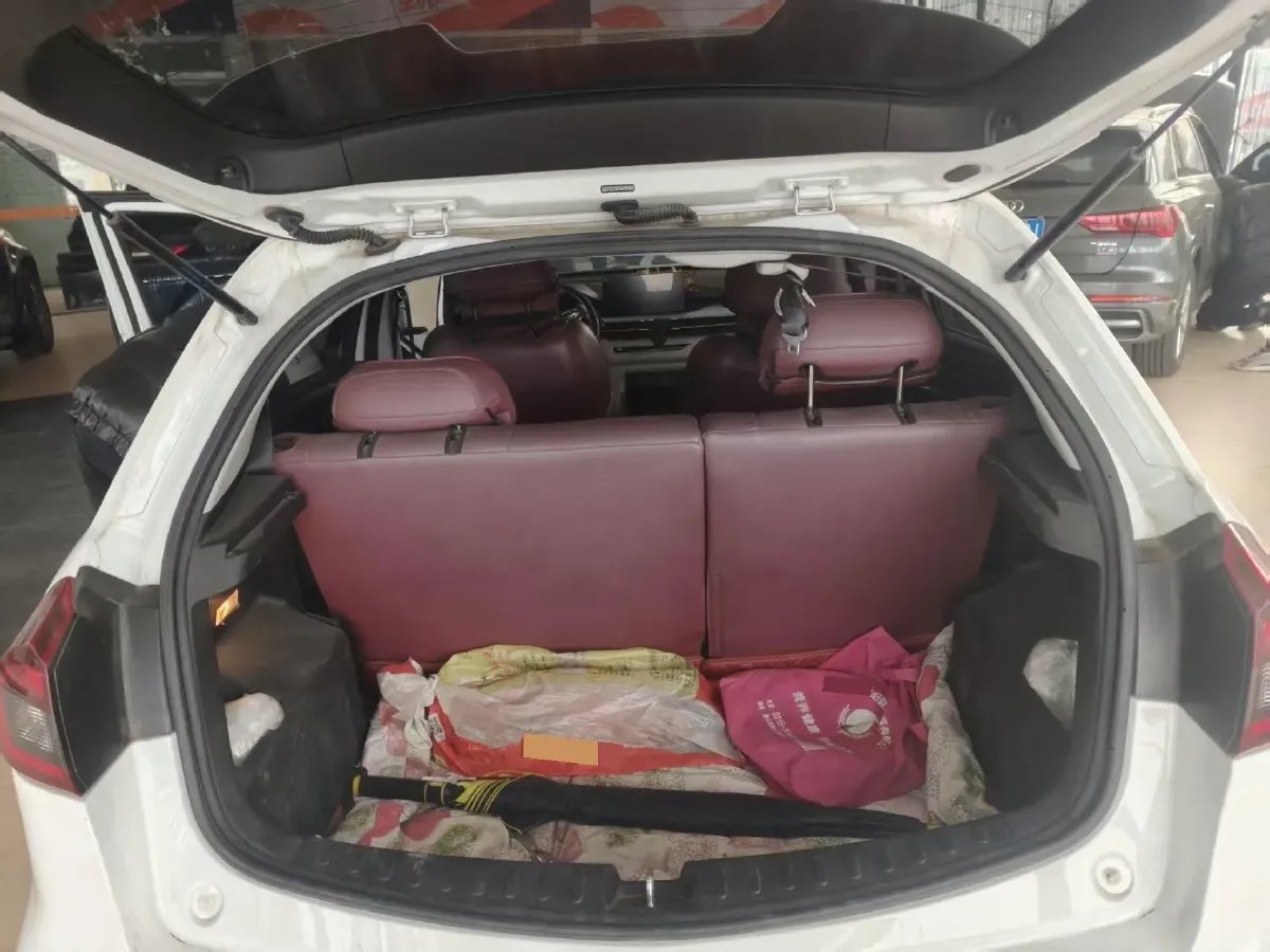 2021 WuLing Nano EV BEV 28KWH,autocango,china used car exporter,china ev exporter,chinese used car exporter,chinese used ev exporter