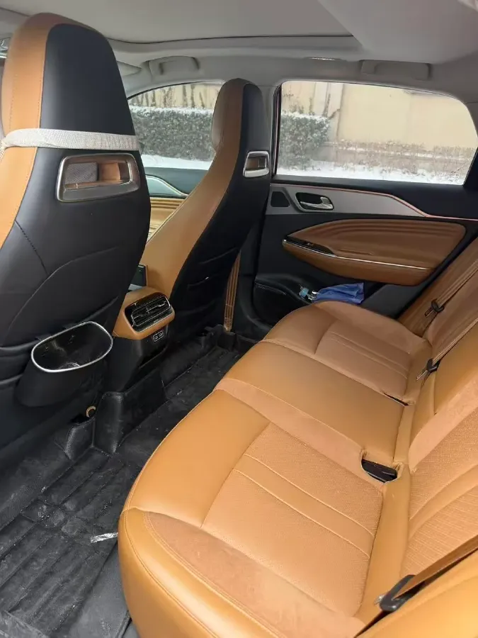 2019 Aion S BEV 58.8KWH,autocango,china used car exporter,china ev exporter,chinese used car exporter,chinese used ev exporter