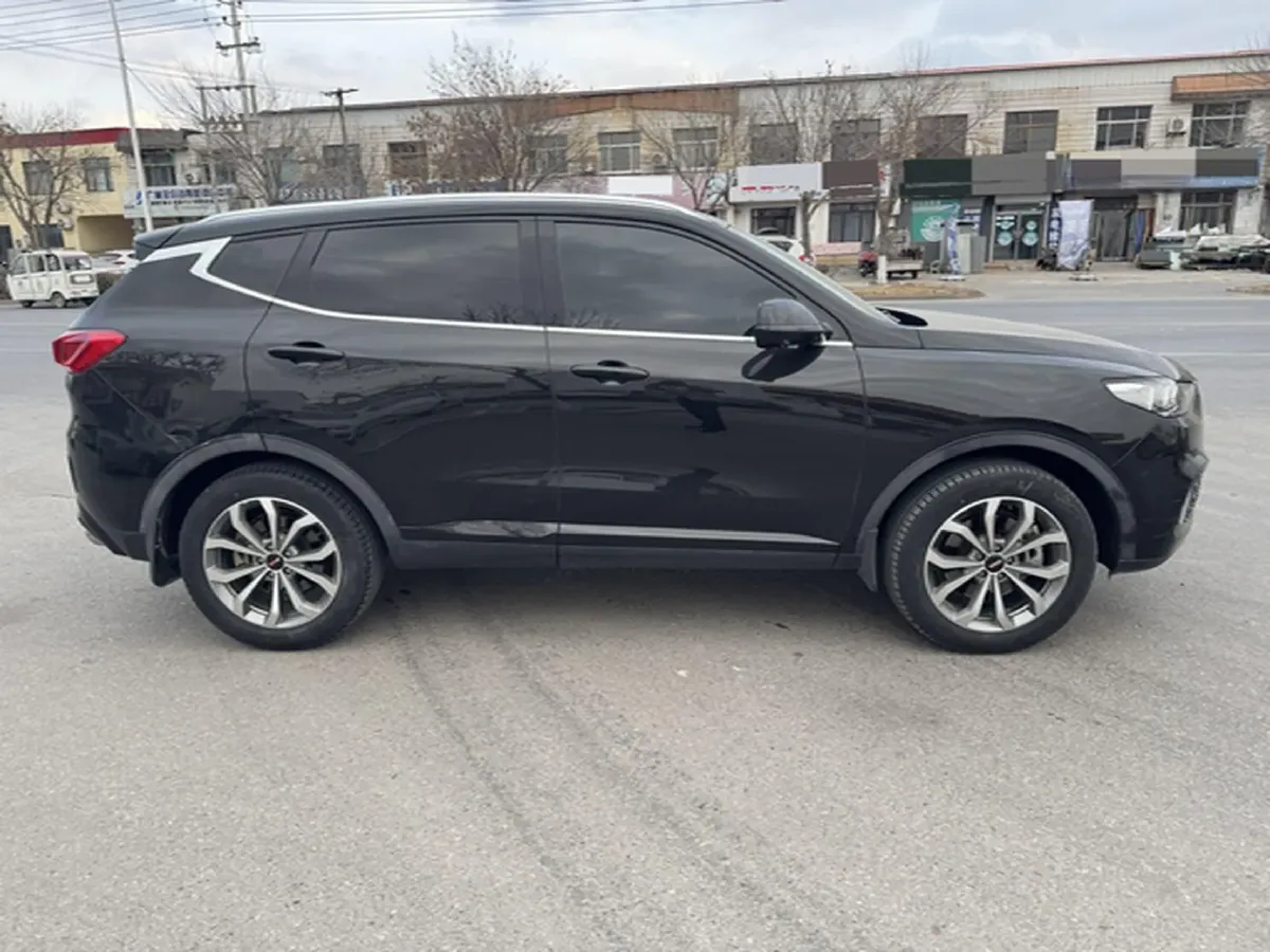 2020 WEY VV6 2.0T 227HP L4 7DCT,autocango,china used car exporter,china ev exporter,chinese used car exporter,chinese used ev exporter