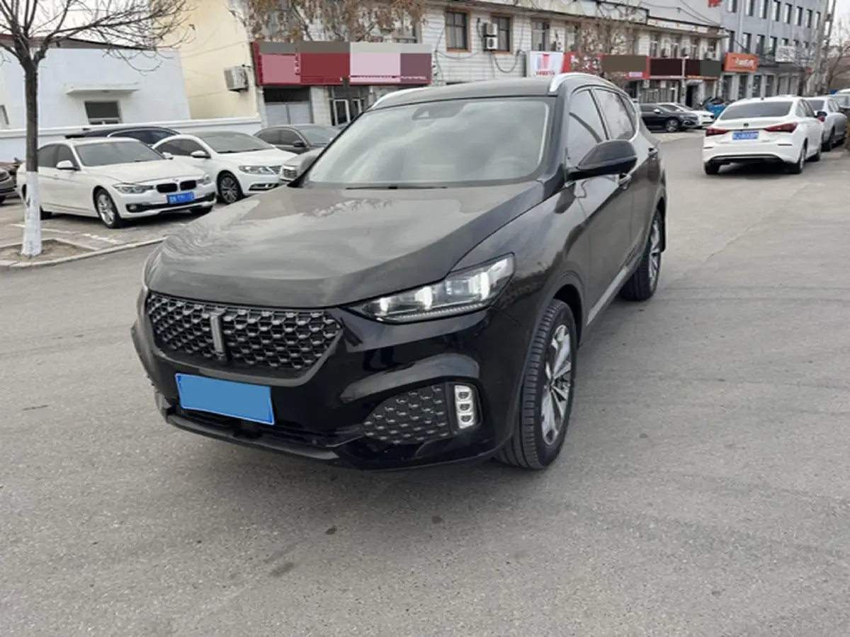 2020 WEY VV6 2.0T 227HP L4 7DCT