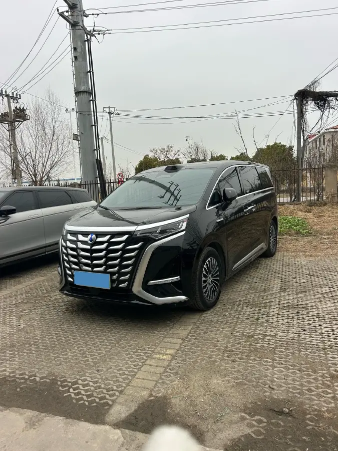 2025 Denza D9 1.5T 156HP L4 E-CVT PHEV 40KWH