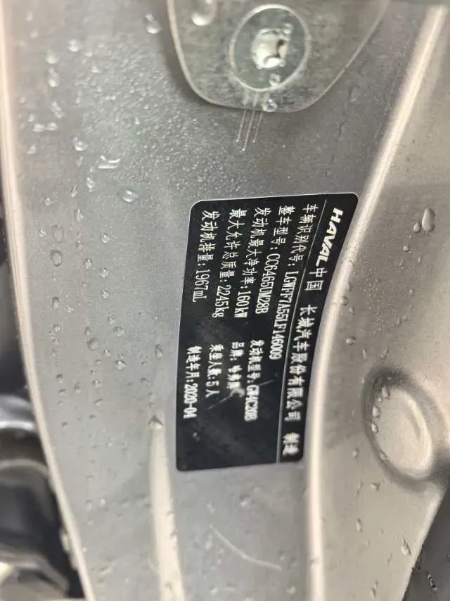 2019 Ford Transit 2.0T 202HP L4 6AT,autocango,china used car exporter,china ev exporter,chinese used car exporter,chinese used ev exporter