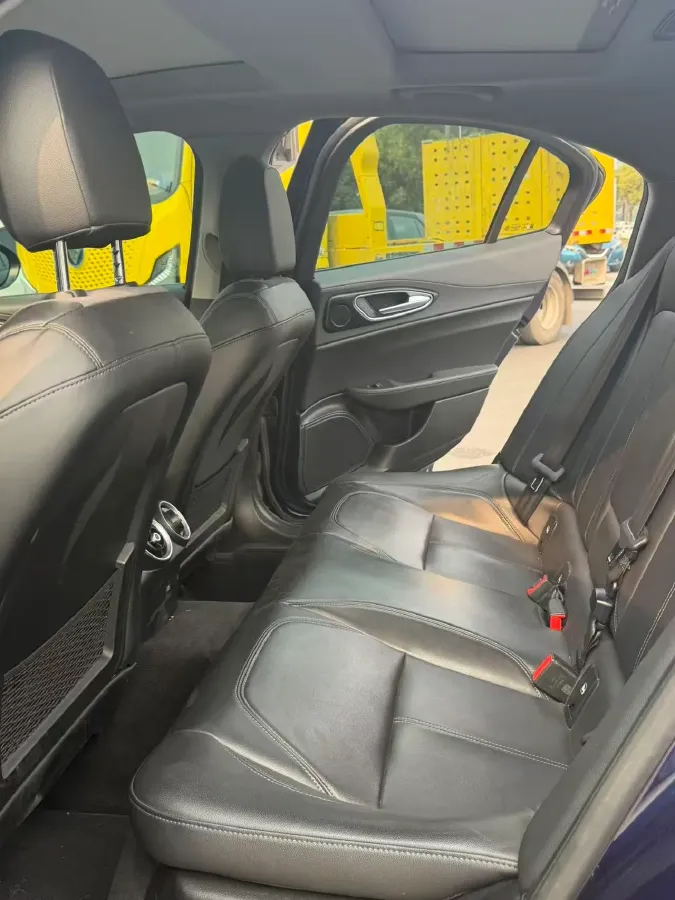 2017 Ford Mustang 2.3T 314HP L4 6AT,autocango,china used car exporter,china ev exporter,chinese used car exporter,chinese used ev exporter