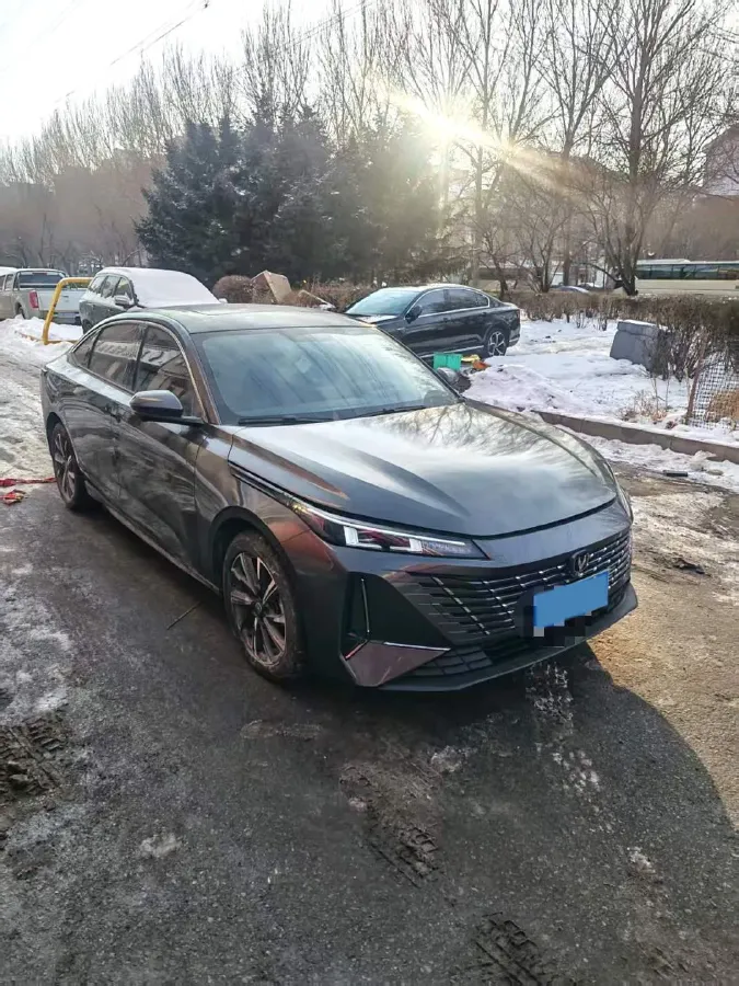 2024 ChangAn Eado 1.5T 170HP L4 7DCT,autocango,china used car exporter,china ev exporter,chinese used car exporter,chinese used ev exporter