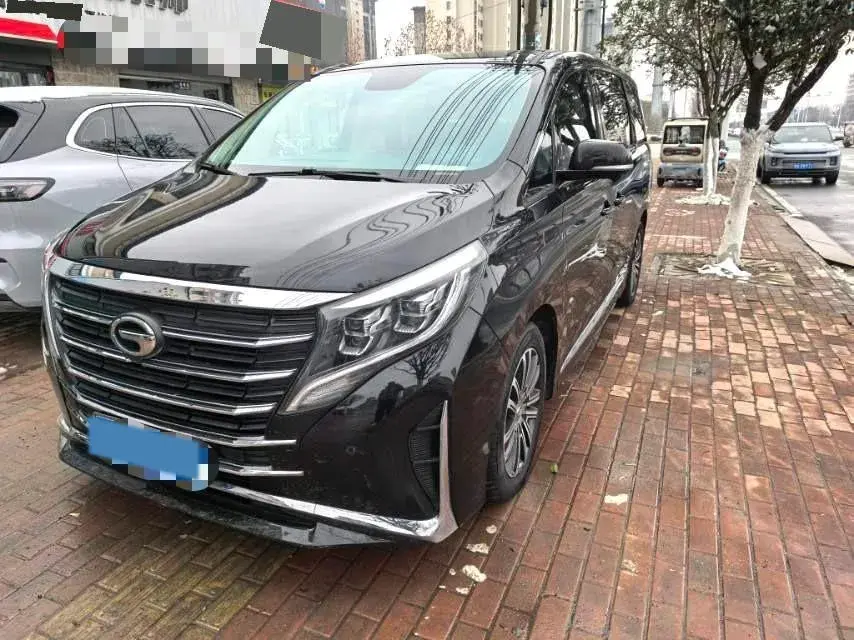 2021 GAC Trumpchi M8 2.0T 252HP L4 8AT