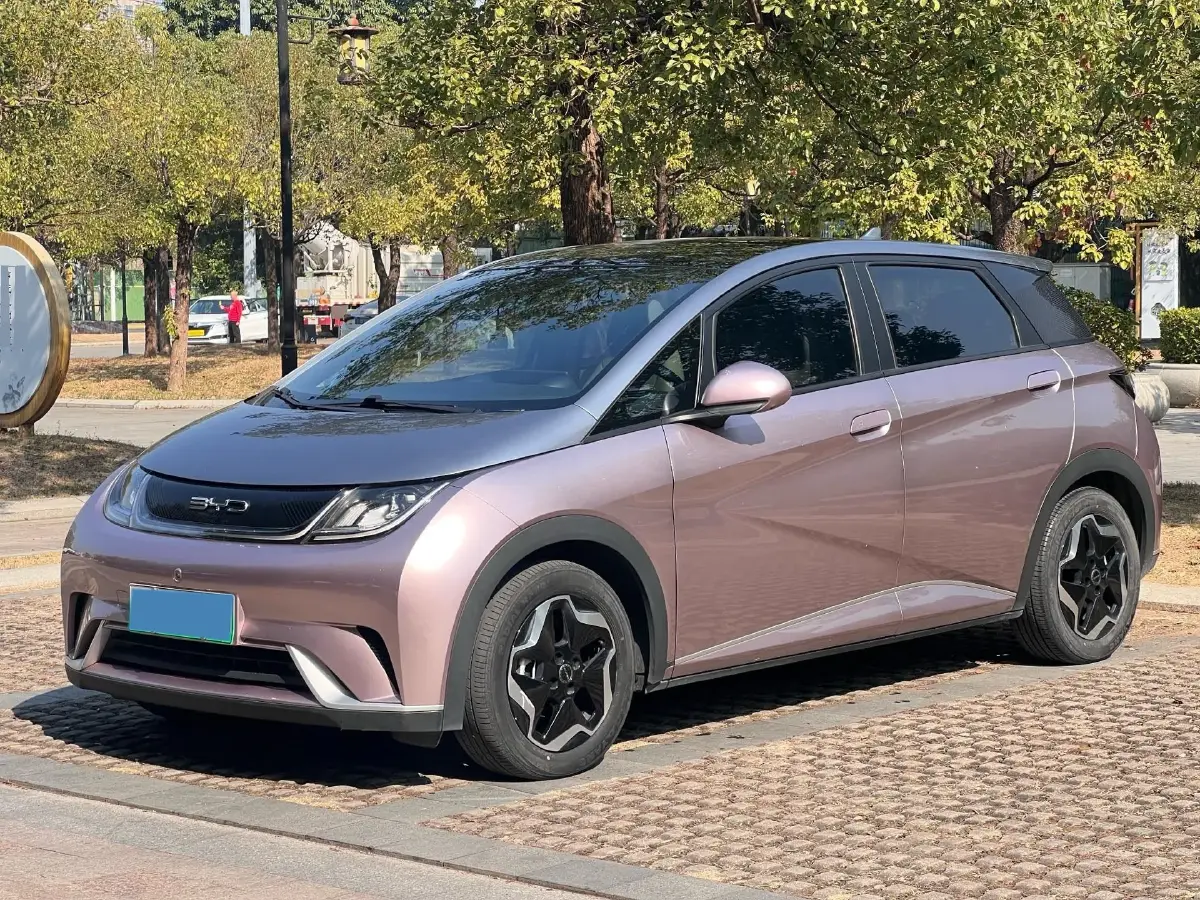 2021 BYD Yuan Pro BEV 50.1KWH