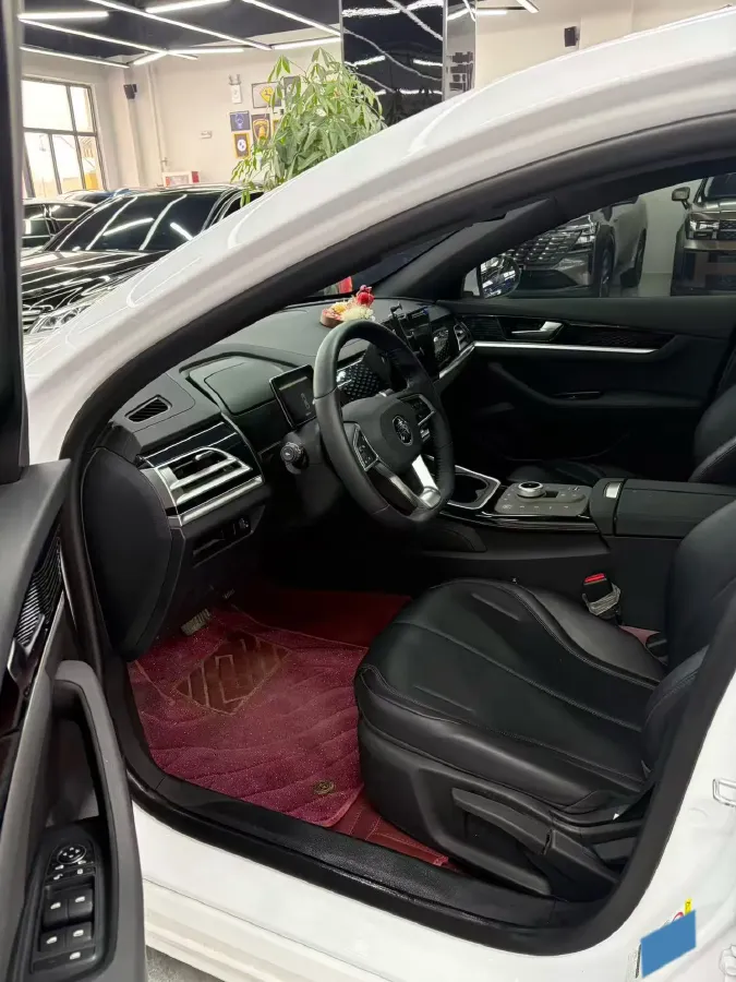 2023 BYD Qin Plus BEV 57.6KWH,autocango,china used car exporter,china ev exporter,chinese used car exporter,chinese used ev exporter