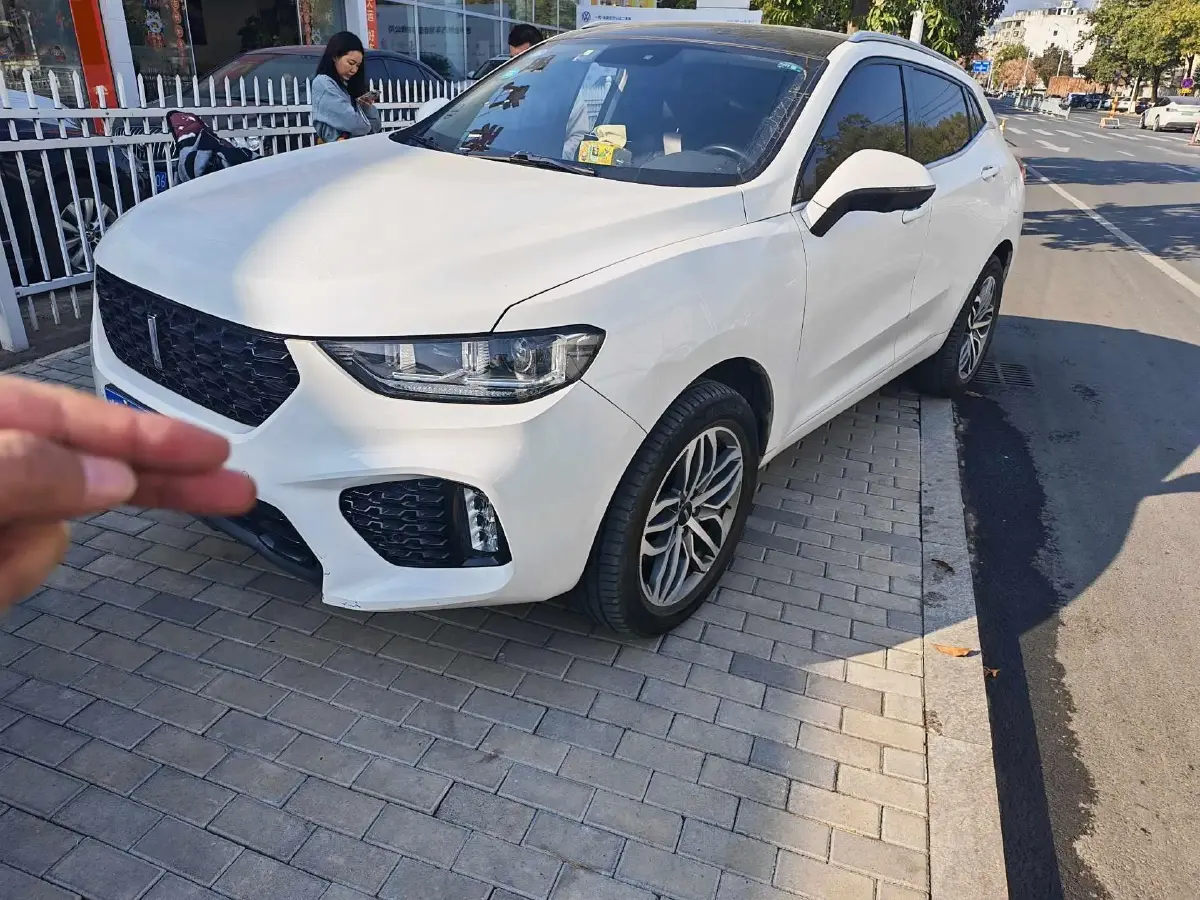 2019 WEY VV5 2.0T 224HP L4 7DCT