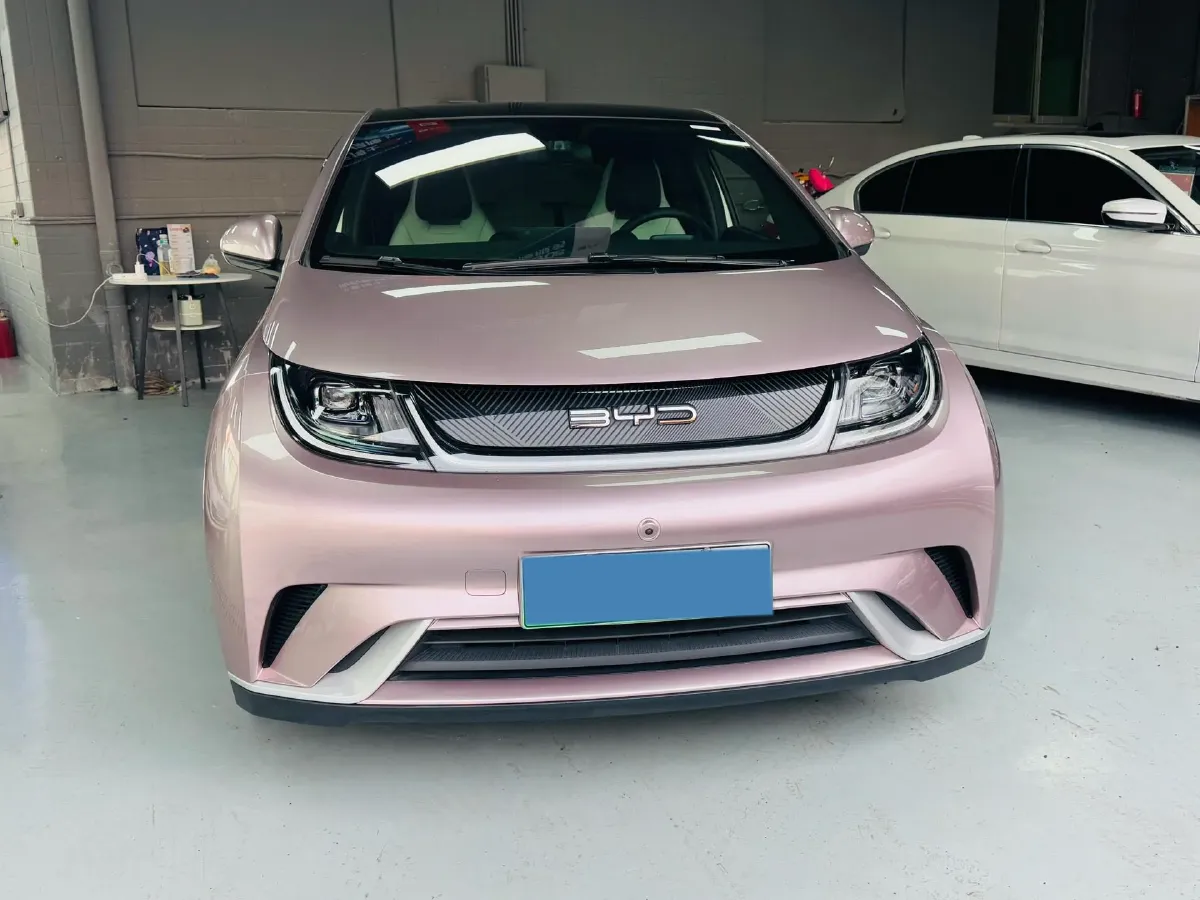 2023 BYD Dolphin BEV 44.928KWH,autocango,china used car exporter,china ev exporter,chinese used car exporter,chinese used ev exporter