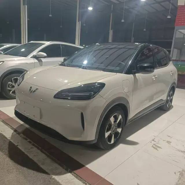 2024 WuLing BinGuoPLUS BEV 50.6KWH