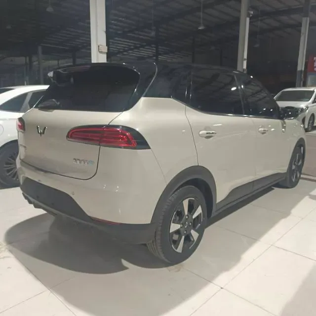 2024 WuLing BinGuoPLUS BEV 50.6KWH,autocango,china used car exporter,china ev exporter,chinese used car exporter,chinese used ev exporter
