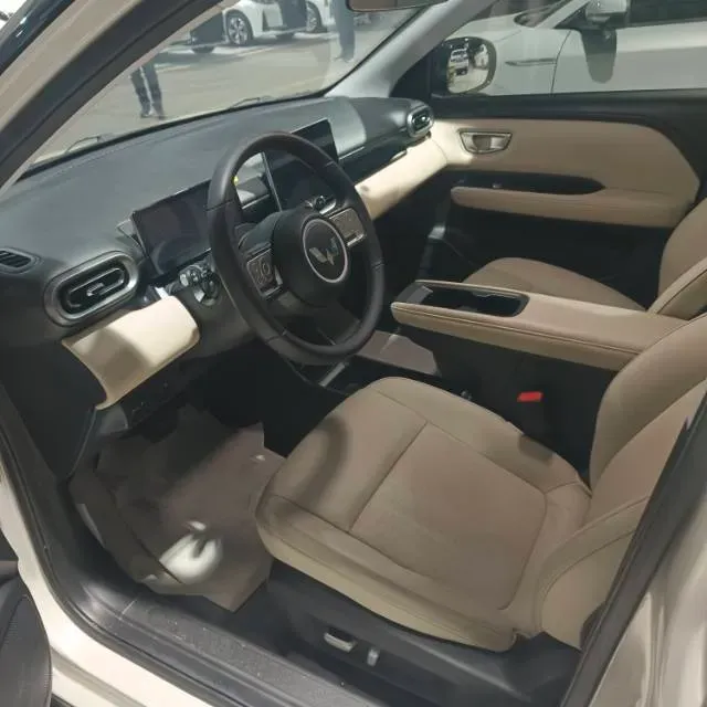 2024 WuLing BinGuoPLUS BEV 50.6KWH,autocango,china used car exporter,china ev exporter,chinese used car exporter,chinese used ev exporter